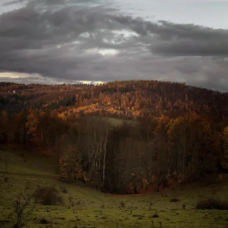 Rajskie Jablka - Azyl Dla Doroslych B&B 3*