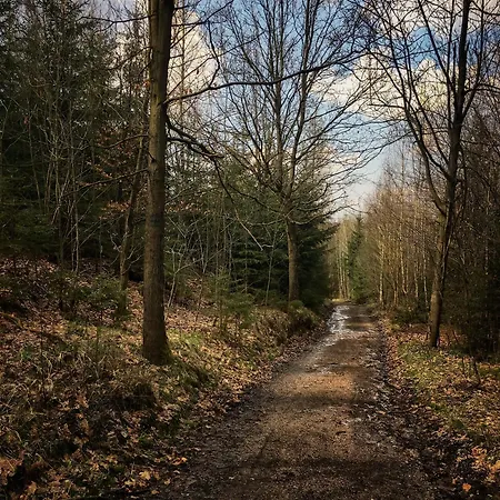 B&B Rajskie Jablka - Azyl Dla Doroslych Lubomierz (Lower Silesia)