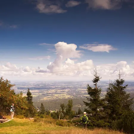 Rajskie Jablka - Azyl Dla Doroslych