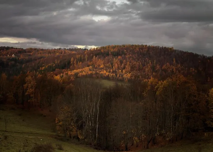 Rajskie Jablka - Azyl Dla Doroslych Bed & Breakfast 3*