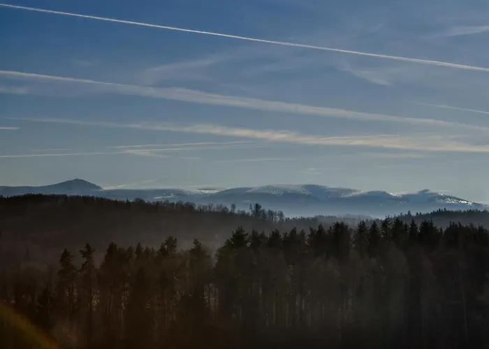 Rajskie Jablka - Azyl Dla Doroslych 3*