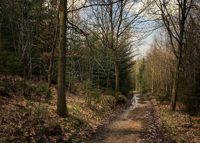 Bed & Breakfast Rajskie Jablka - Azyl Dla Doroslych Lubomierz (Lower Silesia)