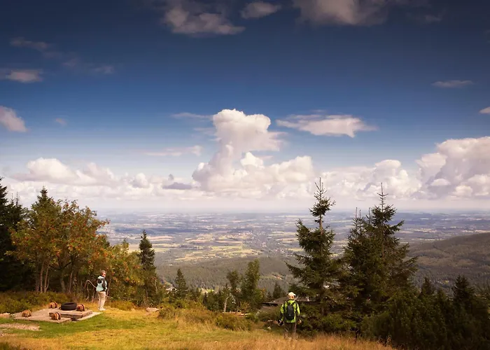 Rajskie Jablka - Azyl Dla Doroslych